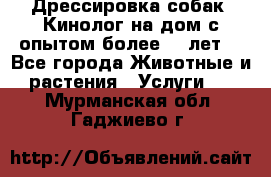 Дрессировка собак (Кинолог на дом с опытом более 10 лет) - Все города Животные и растения » Услуги   . Мурманская обл.,Гаджиево г.